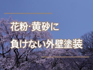 花粉・黄砂に負けない外壁塗装★