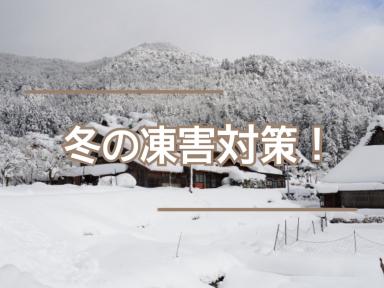 冬の凍害対策！